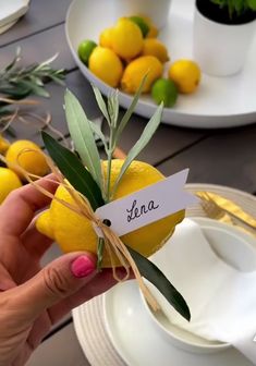 a person holding up a lemon with an olive branch