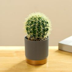 a small cactus in a pot on a table