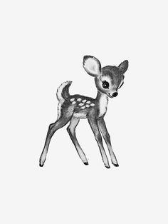 a black and white drawing of a baby deer