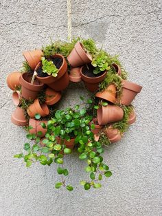 a group of potted plants hanging from the side of a building