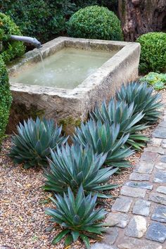 an outdoor fountain surrounded by shrubbery and stone walkways in a garden with gravel pavers