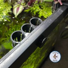 four empty cups are sitting on the edge of a window sill in front of some plants