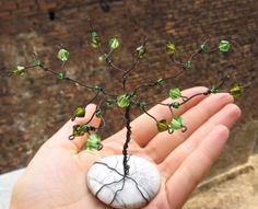 a hand holding a small tree with green leaves on it's branches and a rock in the palm