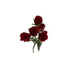 three red roses with green stems on a white background