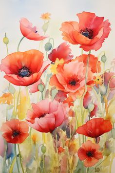 watercolor painting of red poppies and daisies