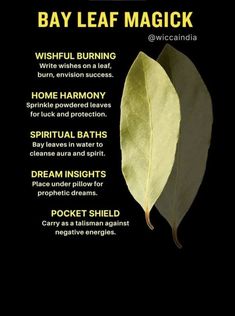 Bay Leaf Protection Spell, Spells With Bay Leaves, Burning Bay Leaves Benefits, Bay Leaves Manifestation, Bay Leaves Witchcraft, Bay Leaves Benefits, Bay Leaf Ritual, Bay Leaf Magic, Bay Leaves Uses