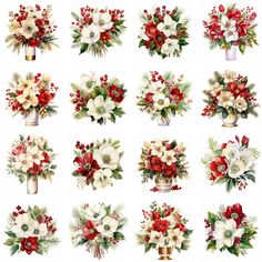 a bunch of different flowers in vases on a white background with red and green leaves