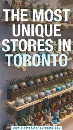 the most unique stores in toronto