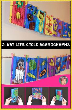 A unique life cycle project that your students won't soon forget! These 3-way life cycle agamographs feature 18 different life cycles to help teachers with any life cycle they are teaching - including the butterfly life cycle, frog life cycle, apple life cycle, pumpkin life cycle and much more! Life Cycle Pumpkin, Melting Snowman