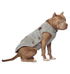 a brown dog wearing a sweater and sitting on top of a white floor in front of a gray background