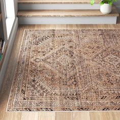 an area rug on the floor in front of some stairs and a potted plant