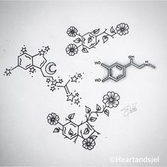 an ink drawing of flowers and chemical symbols