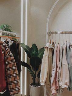 a rack with clothes and a potted plant