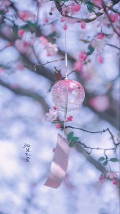 a bird feeder hanging from a tree branch with pink flowers on it's branches