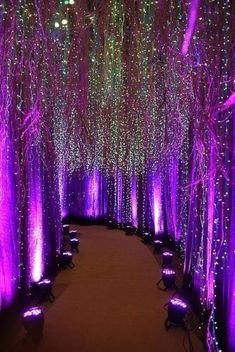 purple lights are lit up in the middle of a tunnel that is lined with trees