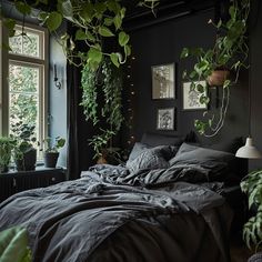 an unmade bed with plants hanging from the ceiling and on the wall above it