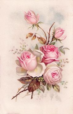 a card with pink roses on it