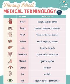 the medical term info sheet is shown with an image of different types of medical terms