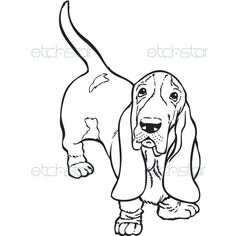 a black and white drawing of a basset hound dog with its tongue out, looking at the camera