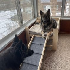 two dogs are sitting on their beds in the window sill looking at each other