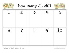 how many seeds? printable worksheet for kids to learn numbers and counting