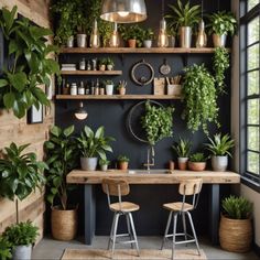 a room filled with lots of potted plants next to a wooden table and two chairs