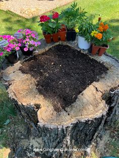 a tree stump is filled with dirt and flowers