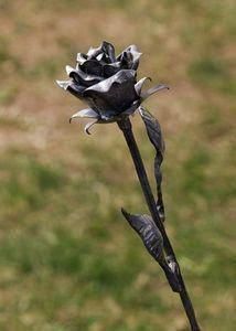 a single black rose is in the foreground with grass in the backgroud