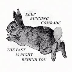 a black and white drawing of a rabbit with words on it that read keep running comrades the past is right behind you