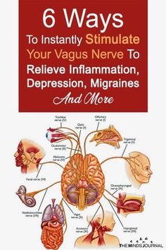 Vagus Nerve Stimulator, Nerf Vague, Nervus Vagus, Nerve Health, Facial Nerve, Vagus Nerve, Good Health Tips, Natural Health Remedies, Food Healthy