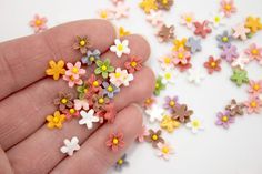 someone is holding some tiny flowers in their hand