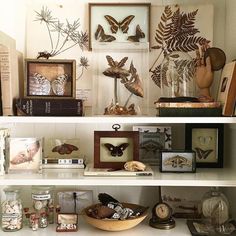 the shelves are filled with different types of decorative items and framed pictures, including butterflies