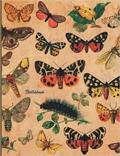 butterflies and caters are shown in this old fashioned postcard from the early 20th century