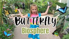 BUTTERFLY MUSEUM 🦋 Thanksgiving Point, Utah - YouTube Thanksgiving Point Utah, Butterfly Biosphere, Butterfly Museum, Utah Salt Lake City, Travel Vlog