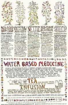 a poster with different types of plants and words on it, including water based medicine