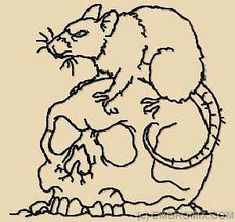 a drawing of a rat sitting on top of a human skull, with the caption