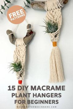 two macrame plant hangers with air plants on them and text overlay that says 15 diy macrame plant hangers for beginners