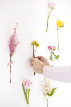 someone is arranging flowers on the wall and placing them in order to make it look like they are floating