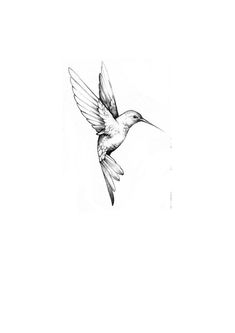 a black and white drawing of a bird flying