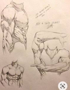 some drawings of different muscles and their names