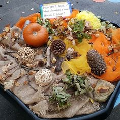 a tray filled with fake pumpkins, pine cones and other autumn decorations on top of burlap