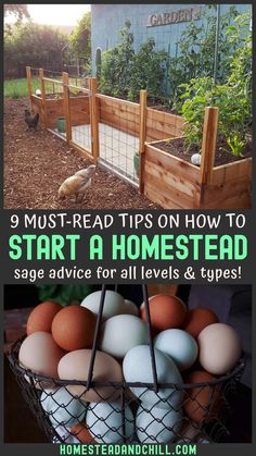 a basket full of eggs sitting on top of a wooden table next to a fence