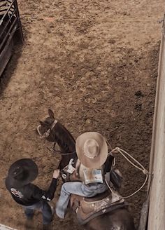 a man sitting on top of a horse next to a cow in a pen at a rodeo