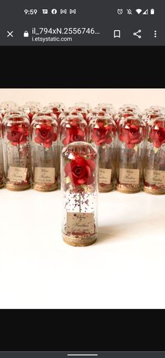 there are many glass jars with red roses in them