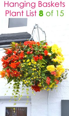 hanging baskets with flowers on the side of a building and text overlay reading hanging baskets plant list 8 off 15