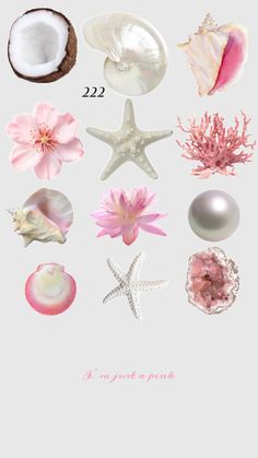 an image of seashells and starfish on a white background with pink text