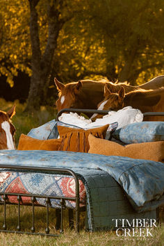 Tasha Polizzi Western Washed Denim Bedding Denim Bedding, Denim Comforter, Western Comforter Sets, Western Bedding, Tasha Polizzi, Wild Rag, Washed Denim, Signature Collection, Oversized Rugs