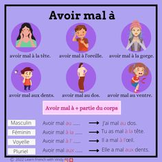 the words in french are used to describe different types of people's body parts