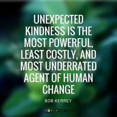 a quote from bob kerry on being kind of human change