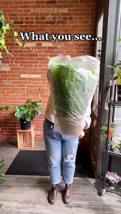 a woman is carrying a bag full of plants in front of a brick wall with the words, what you see?